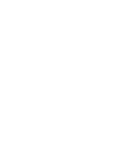 Kingston-logo-white_1.png